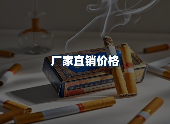 专业团队办公环境